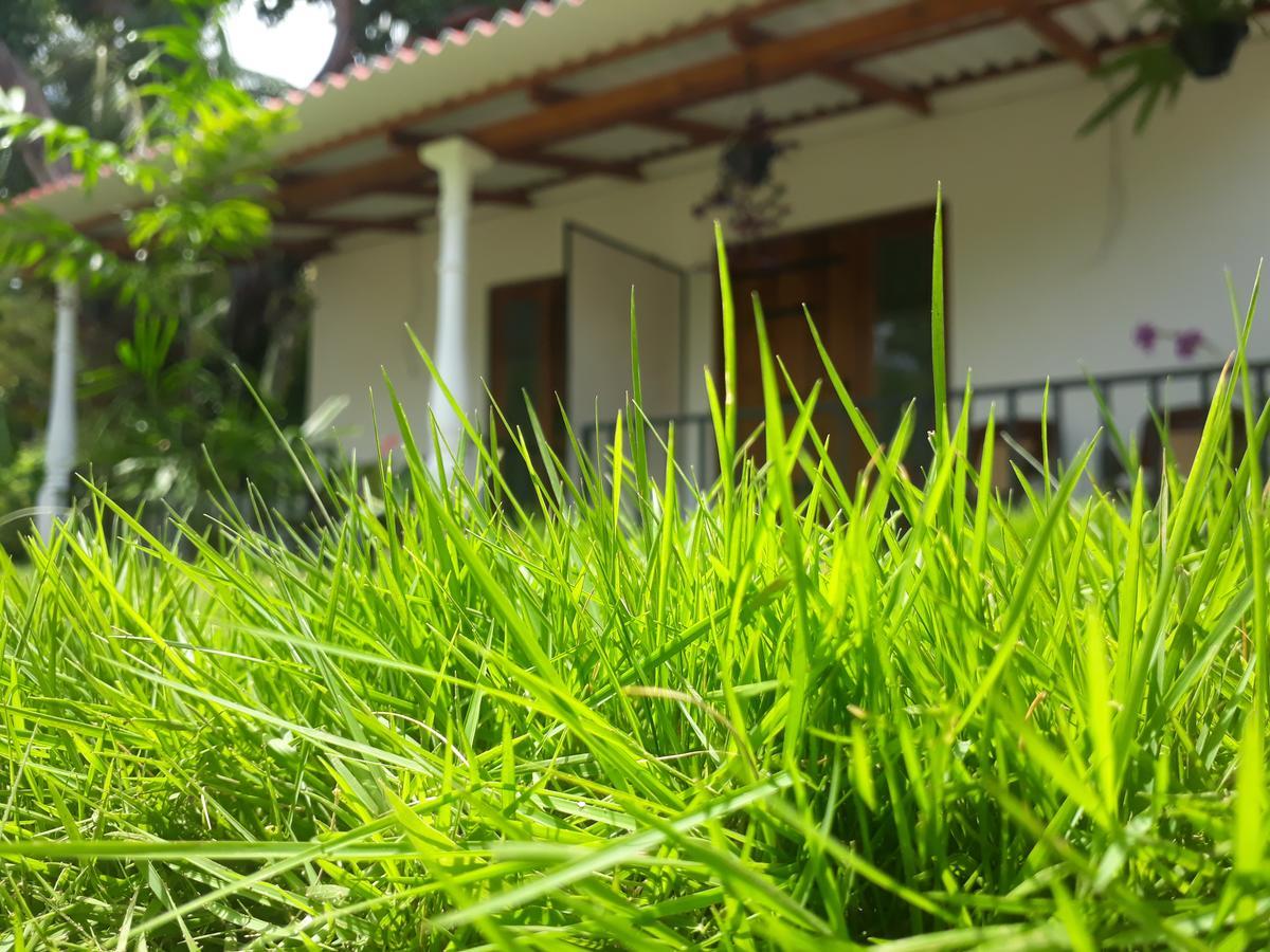 Akila Holiday Resort Habarana Bagian luar foto